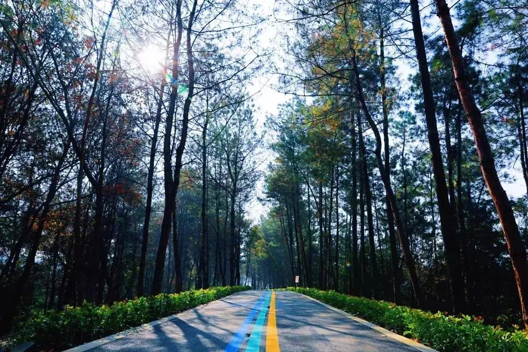 巴适自驾旅游攻略,巴适小众公园