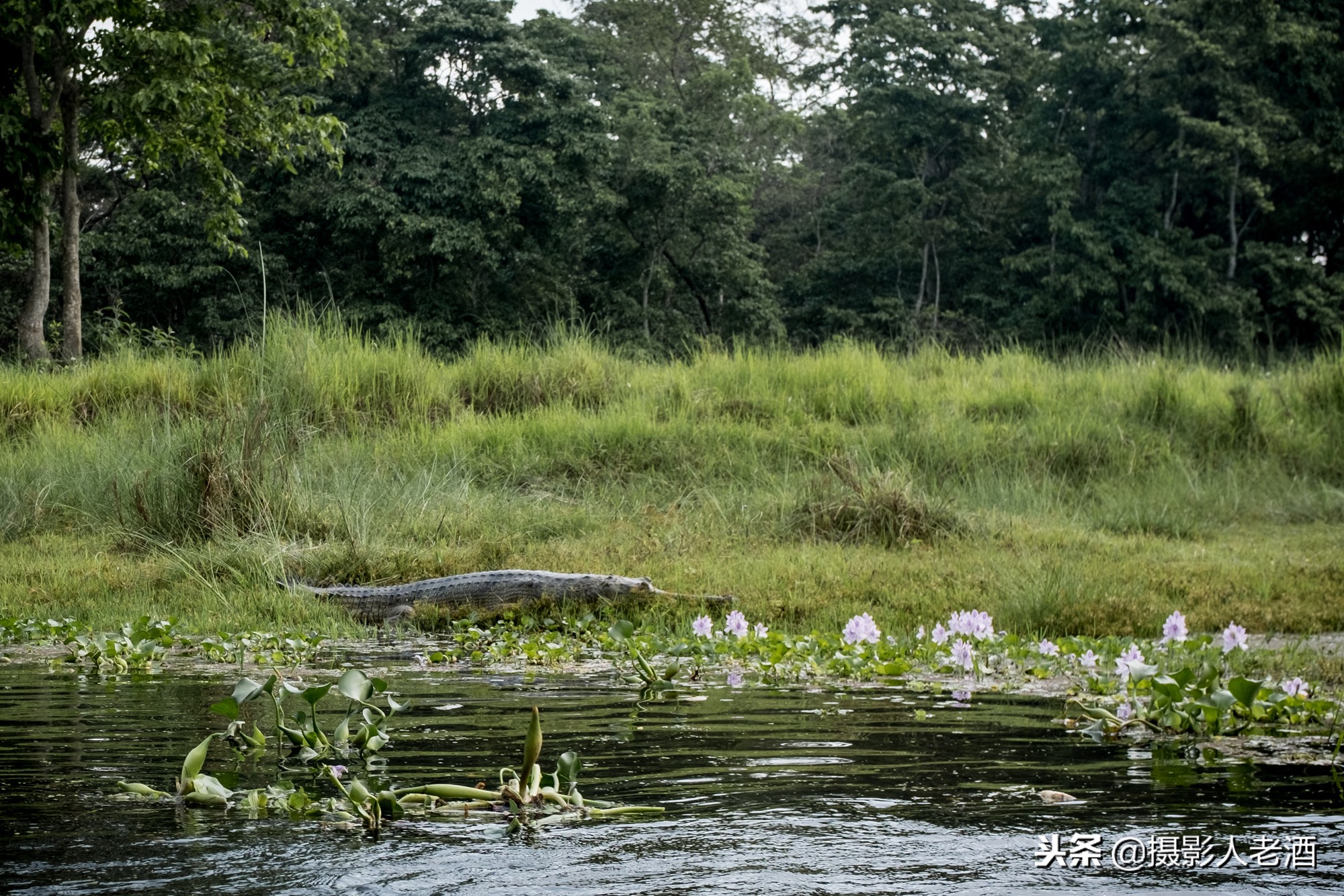 尼泊尔旅行攻略完整版,尼泊尔旅行攻略完整版免费