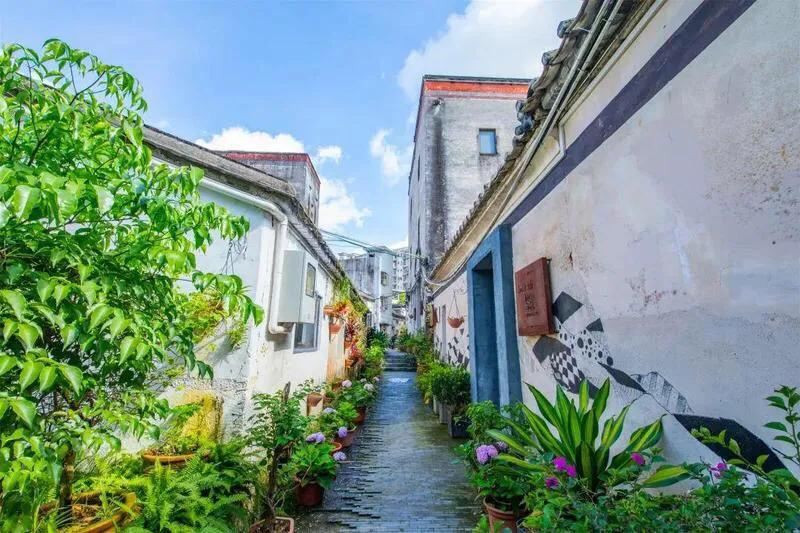 暑假深圳好玩的地方推荐,暑假深圳免费好玩的地方推荐