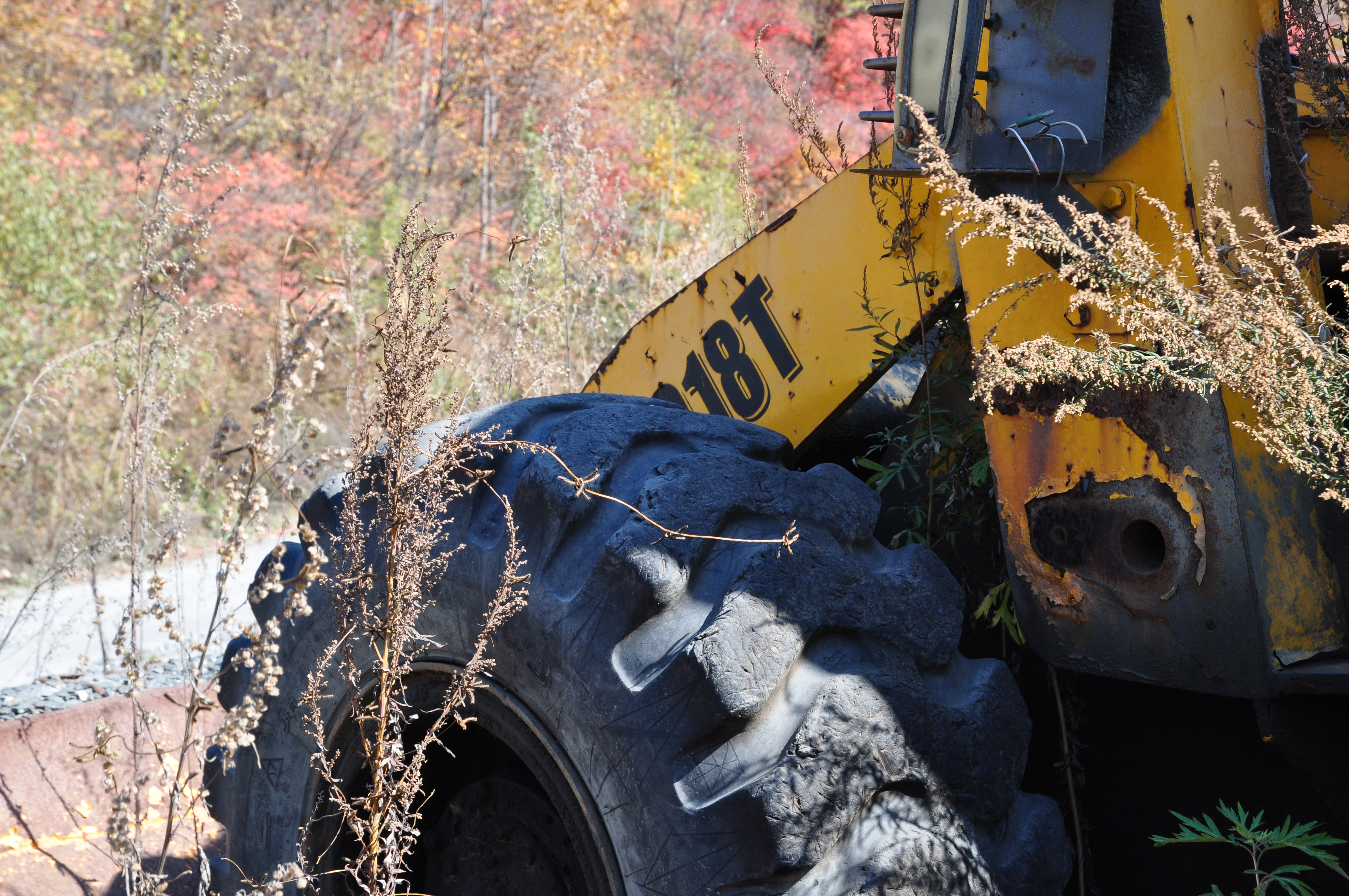 此时的辽宁不进景区照样处处风景，我带5位女同学野山里玩了一天