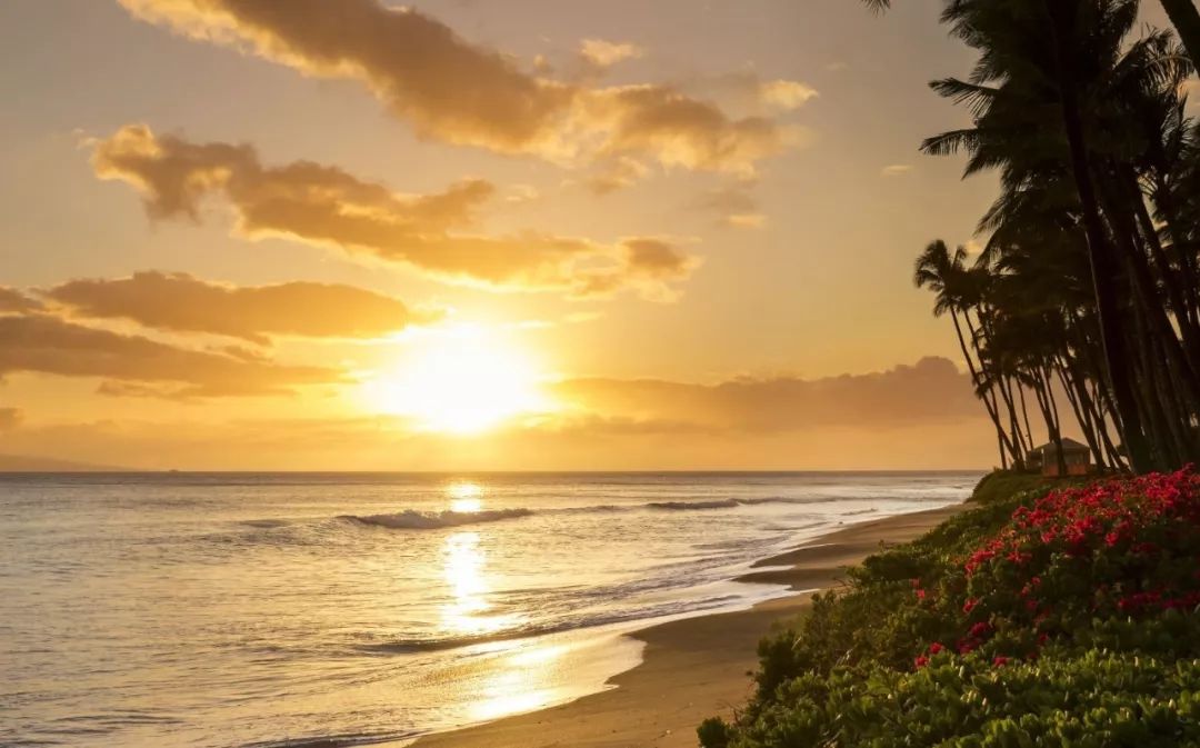 为什么一定要去夏威夷,为什么大家都去夏威夷