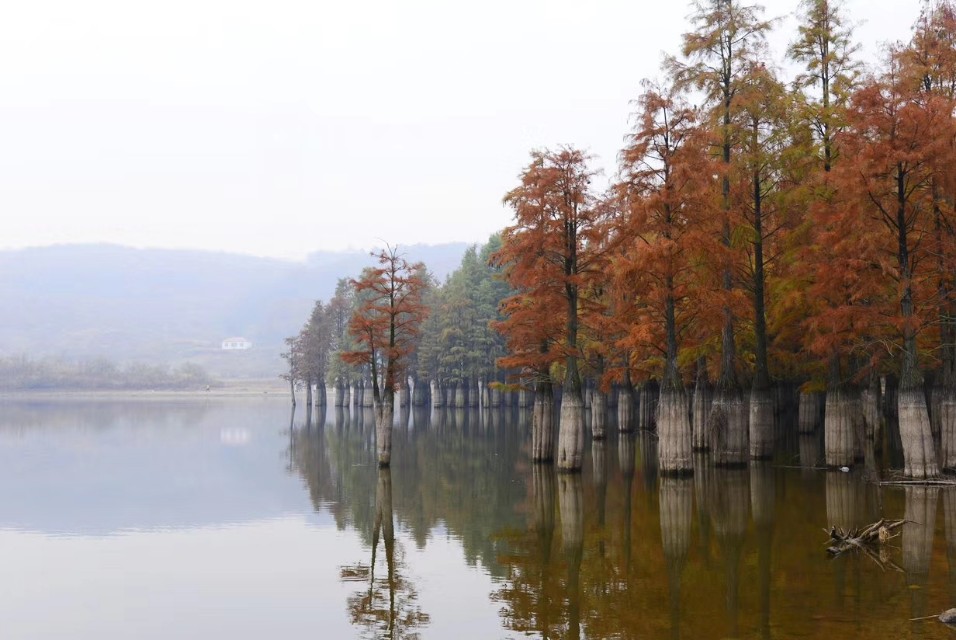 上台讲故事的淘淘大哭到大队委竞选的侃侃而言，引导帮助孩子改变