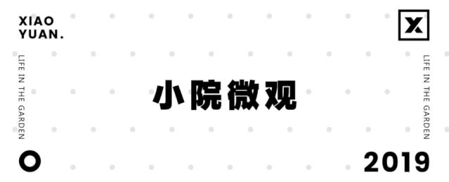 小院生活烟火气息北京,小院生活静谧而惬意