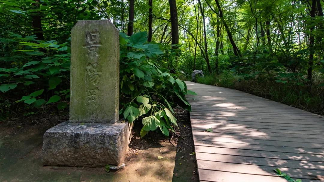 山东最美的自驾游线路图片大全,山东最好的自驾游景点