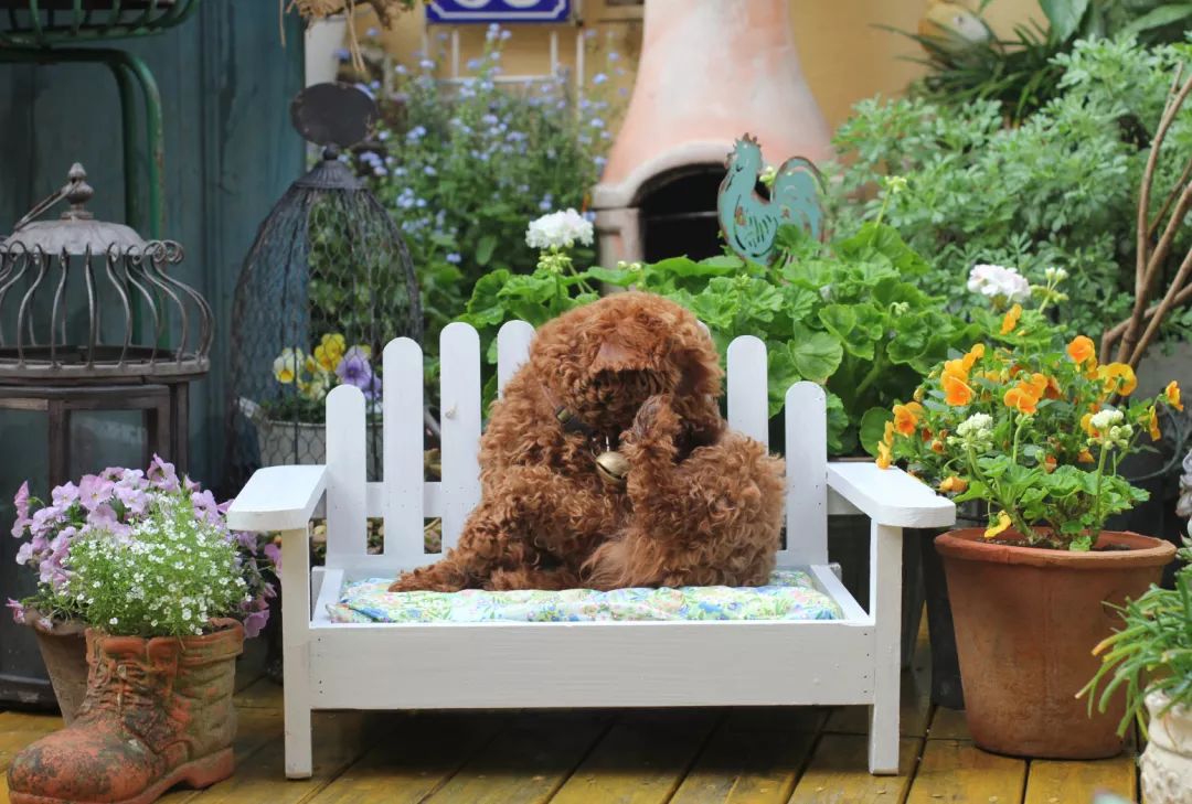 一个重度搪瓷爱好者的杂货花园