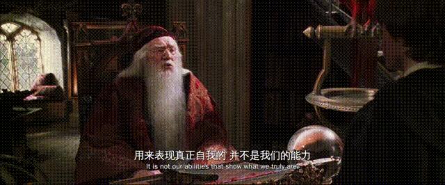 人生中第一次看哈利波特,想和你一起看哈利波特