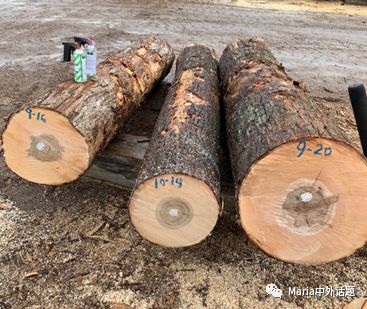 美国硬木干货价格,北美硬木排行