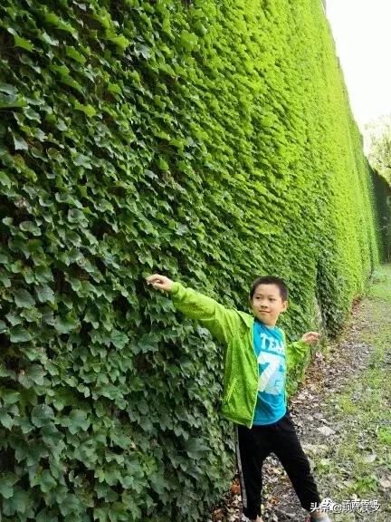 中国十大儿童诗作家,中国优秀的诗人100名