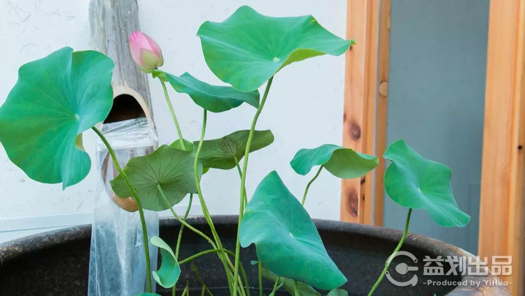 夏日养生技能：来青岛这家鸥迪足道做个“大保健”吧