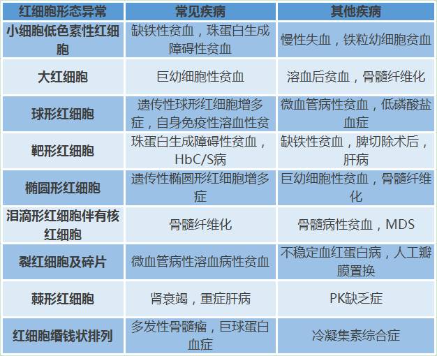 贫血需要补血吗,有地中海贫血孩子贫血怎么补血