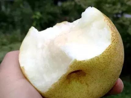 哪种梨最好吃又实惠,最好吃的十款梨