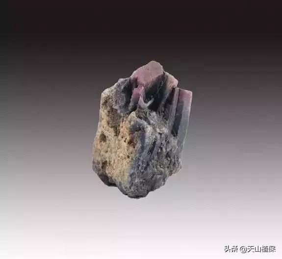 怎么捡到价值极高的石头,捡到一块石头价值千万