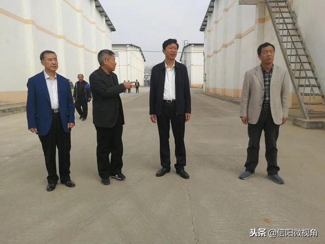 罗山粮食收购情况,秋粮收购工作的安全措施