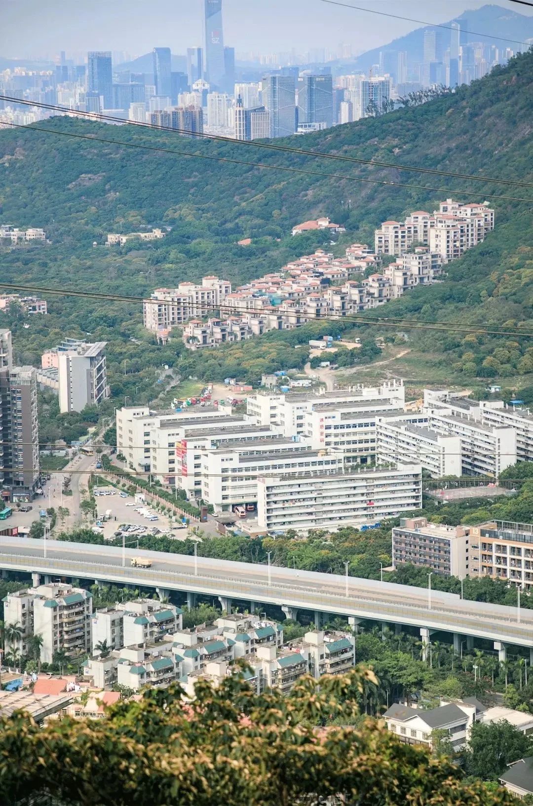 深圳这27个热门游玩地，坐2号线全都能到