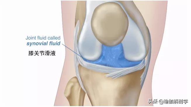 膝盖弯曲咔咔响疼痛是怎么回事,空中蹬自行车膝盖咔咔响怎么办