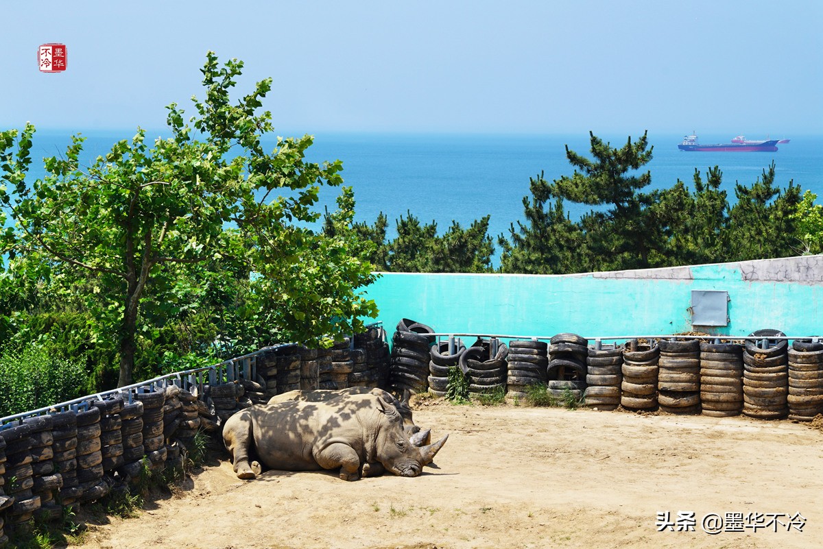 威海5月游记,威海最美一日游