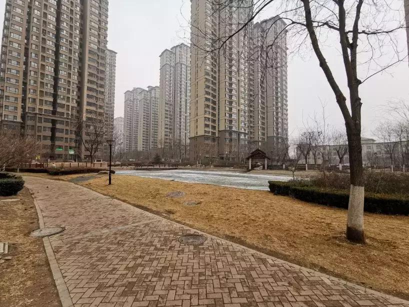 武清四室两厅最好的楼盘,武清豪宅价格趋势