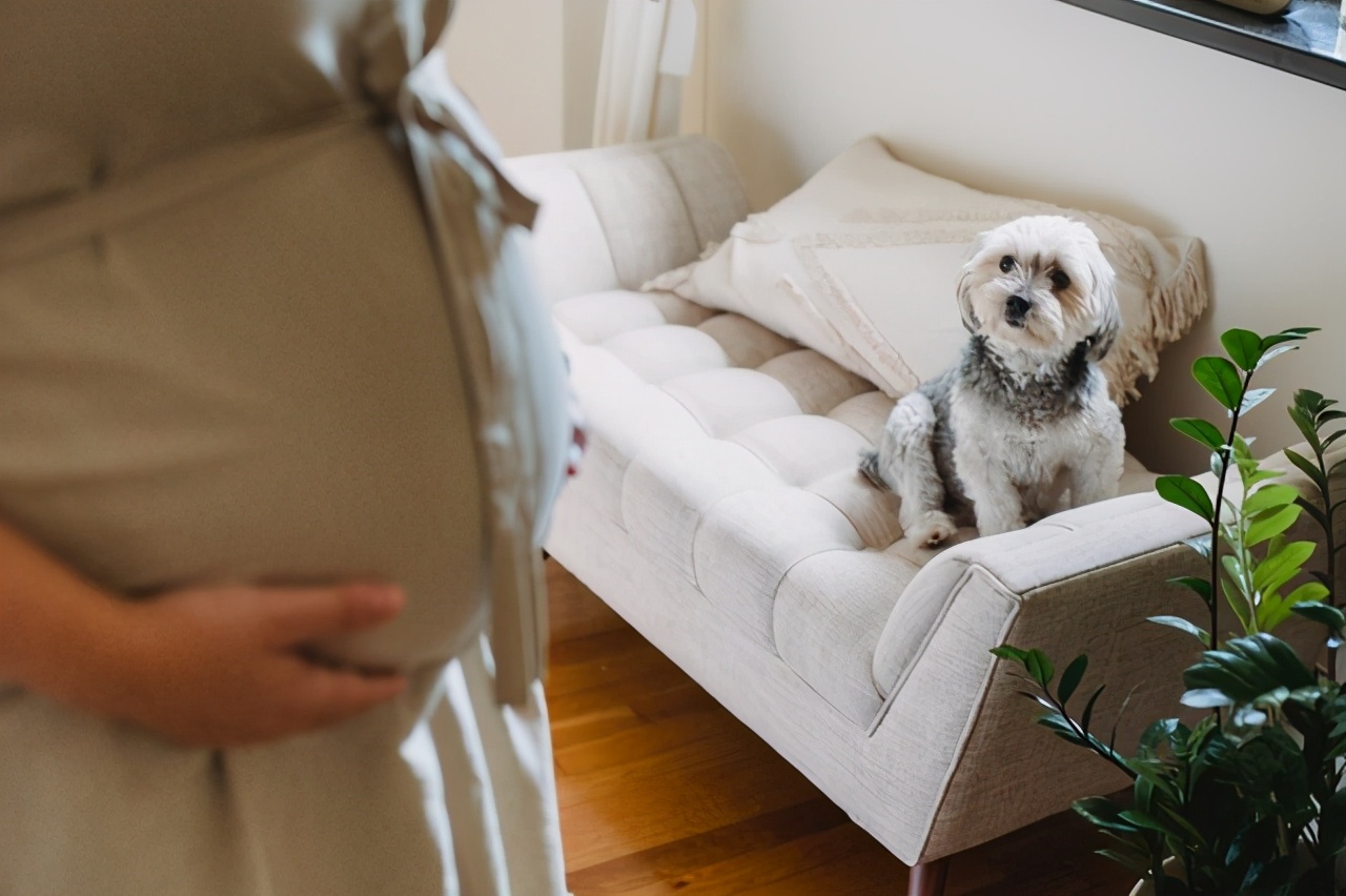b超单上的胎儿生物指标,b超单上胎儿小肠标志是哪里