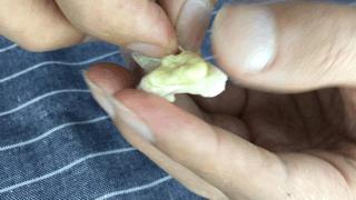 爬20米高用竹竿打下的这口“老树鲜核桃”，脆嫩鲜甜，别处买不到