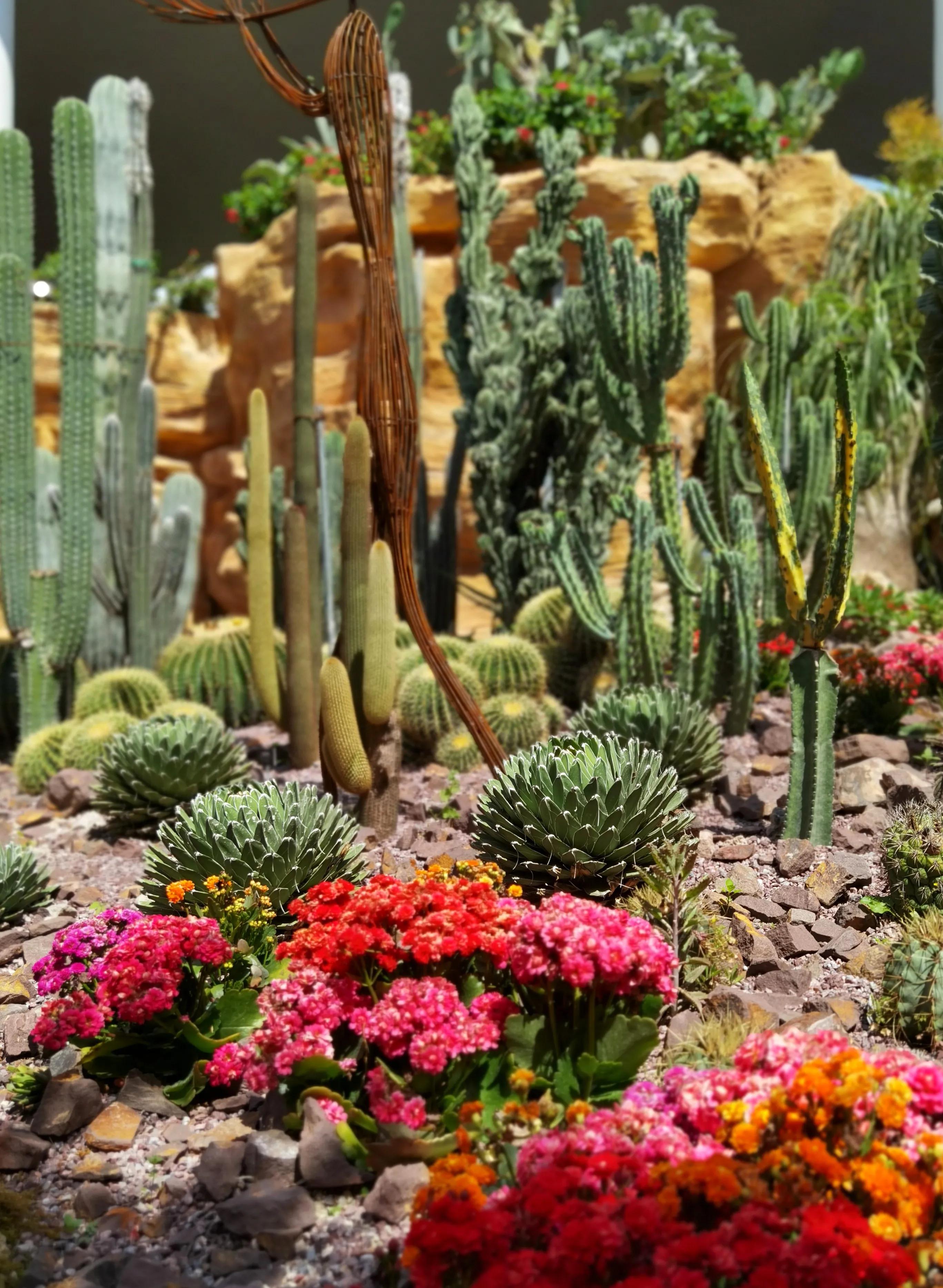 关于崇明花博会,崇明花博会全程花景
