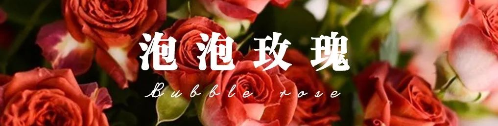 一篇文章带你认识三亚40种花,鲜花图鉴一次性认识30种玫瑰花