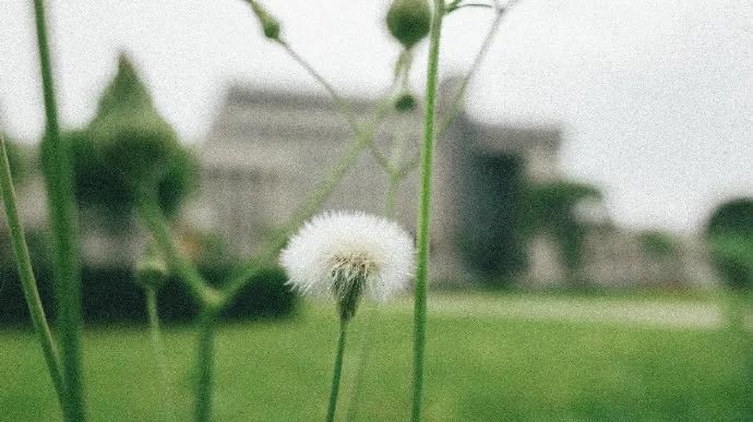 保研夏令营优秀营员就稳了吗,保研夏令营上岸