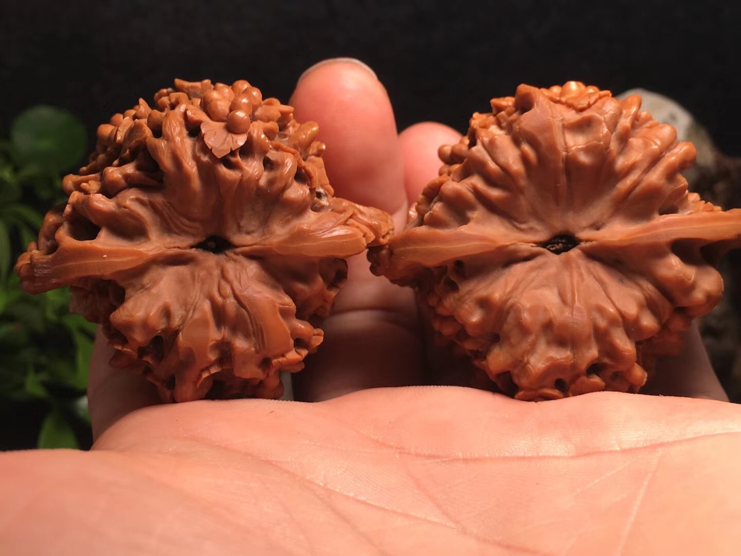 落地桃核发黑如何清洗,山桃核的正确清洗方法