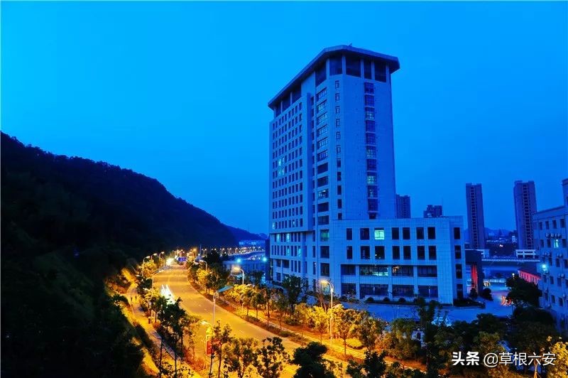 谢谢你来了全集,谢谢你医生