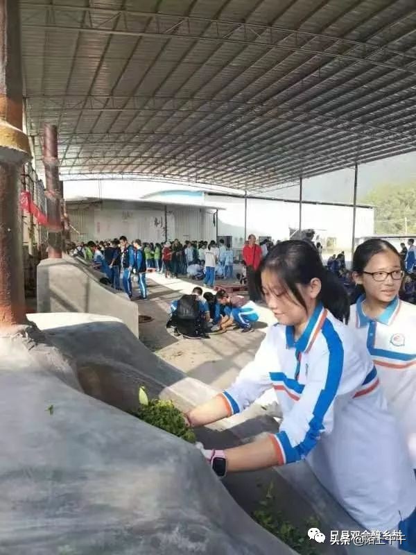 鹤山网红打卡地景点,鹤山网红打卡地