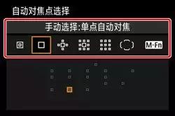 相机对焦技巧教程,相机对焦有哪些方法和技巧