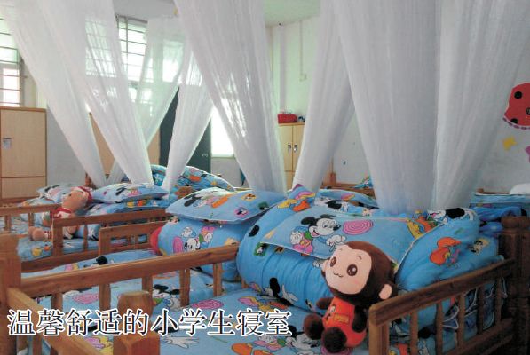 肇庆不限户籍的学校,肇庆不限户籍的中学