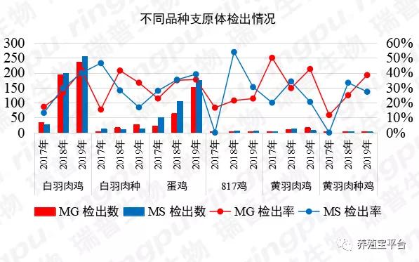 盐酸大观霉素治疗支原体,盐酸大观霉素林可霉素治什么病