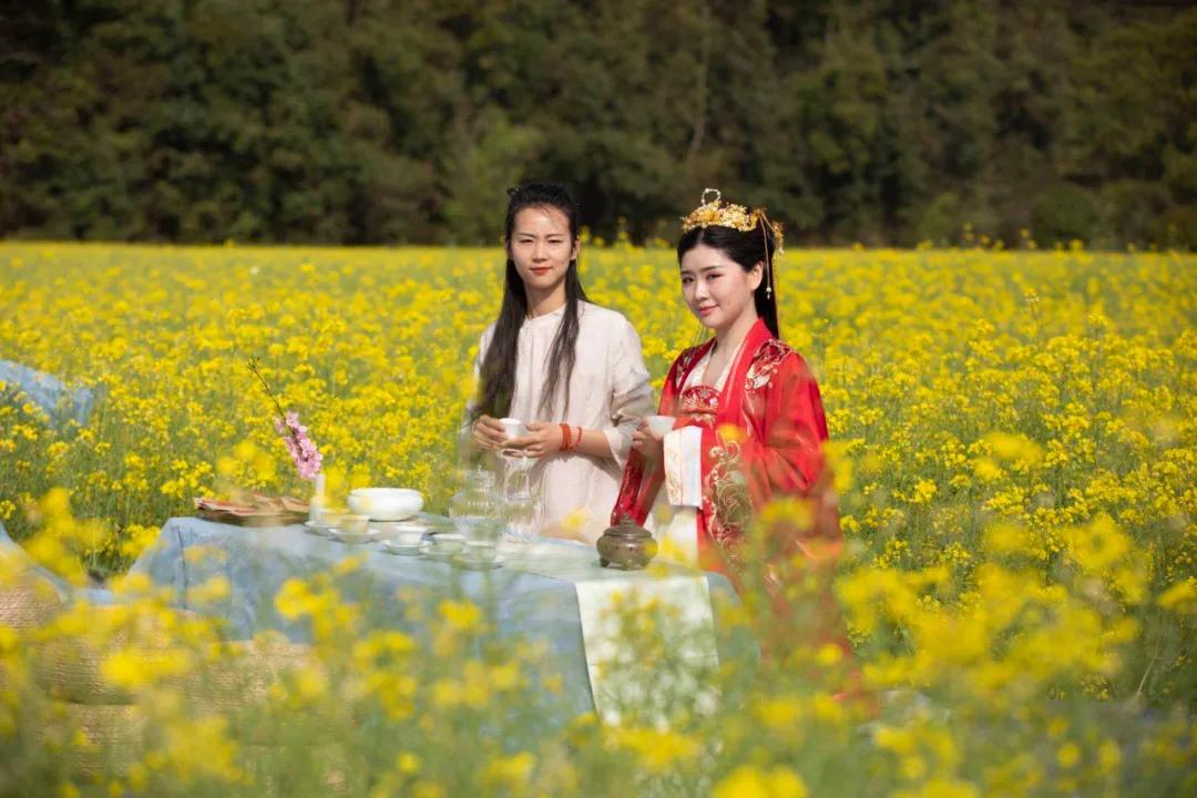 婺源油菜花节,2023婺源油菜花节