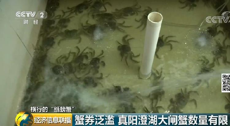 一只螃蟹没卖净赚100元,一只螃蟹没卖每张蟹券净赚100