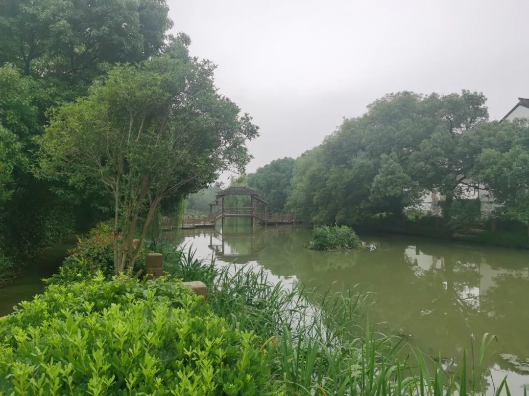 心怀淡雅不落俗,心怀淡雅