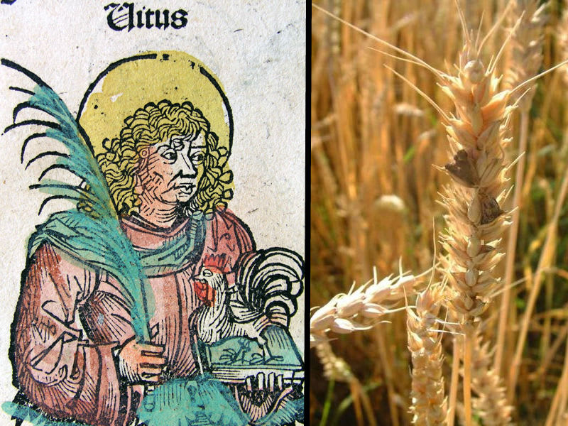 跳舞至死:解密离奇的1518年“舞蹈瘟疫”