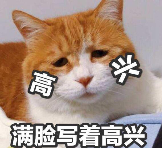 公立学校冬天冷,私立学校的春天来了