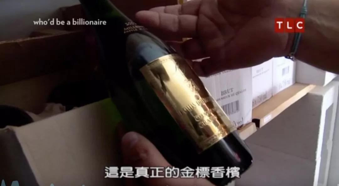 亿万富翁的有钱人生完整视频,亿万富豪的富贵人生