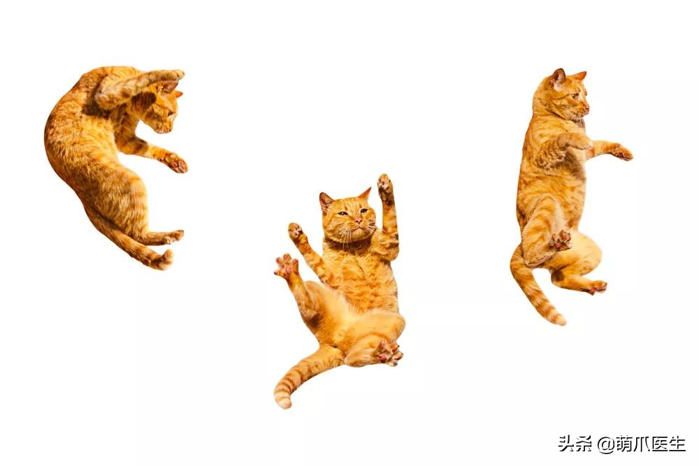 vans再次打造电影联名系列,vans老鼠联名