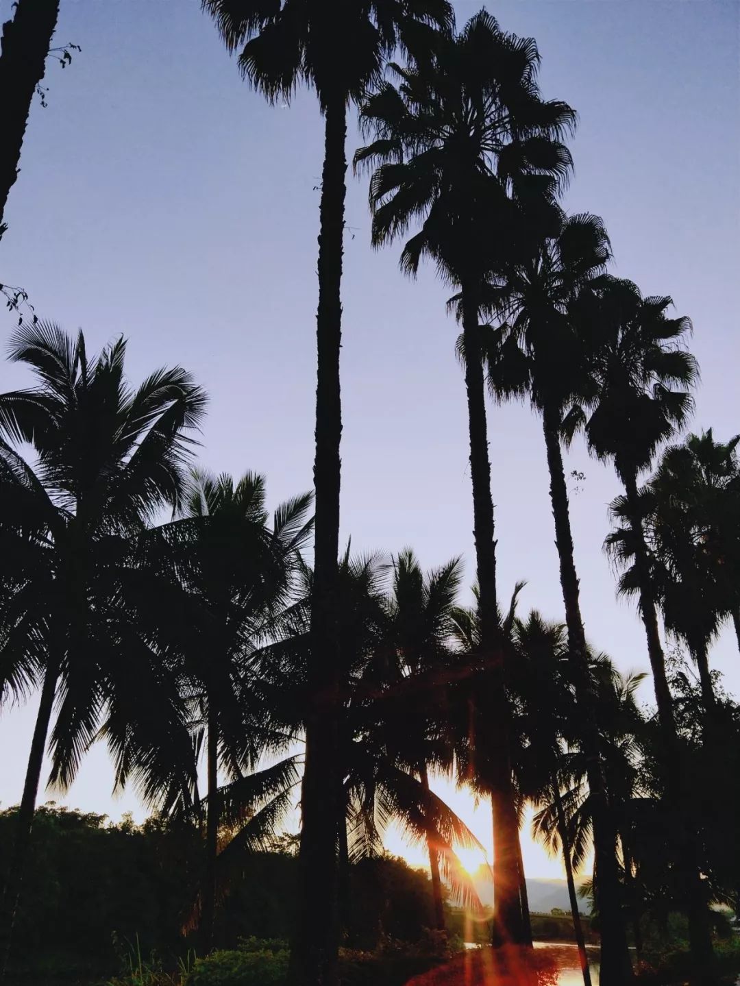 袁金奎老师国画作品欣赏,袁金奎写意花鸟画作品