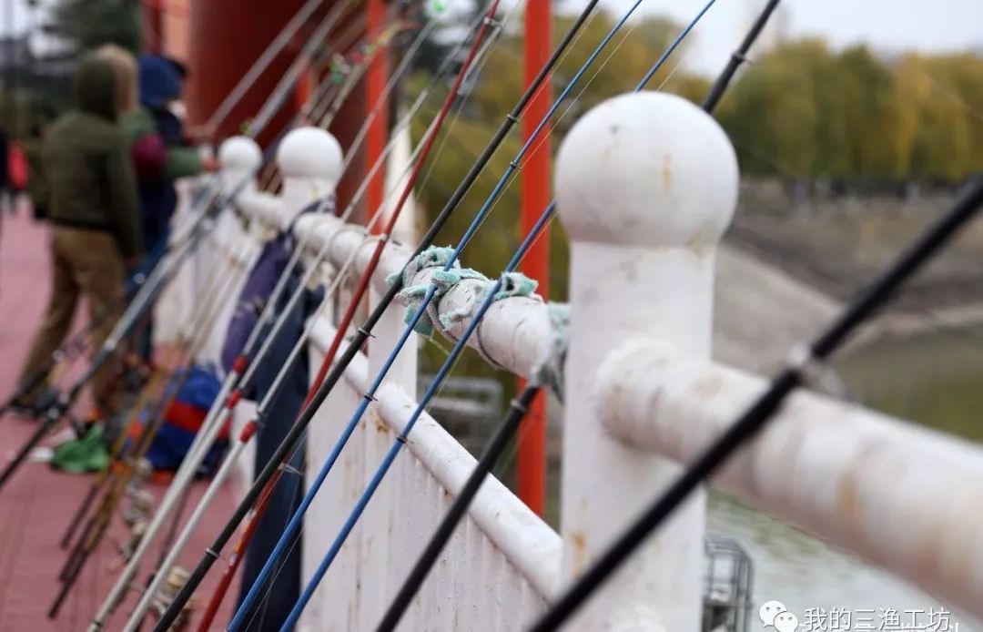 选好鱼竿，轻松享受垂钓好时光