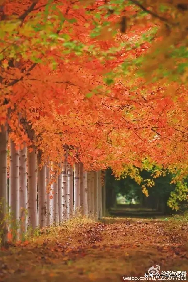 大连有一个蓝色的小城堡景点,大连秋季旅游景点攻略大全