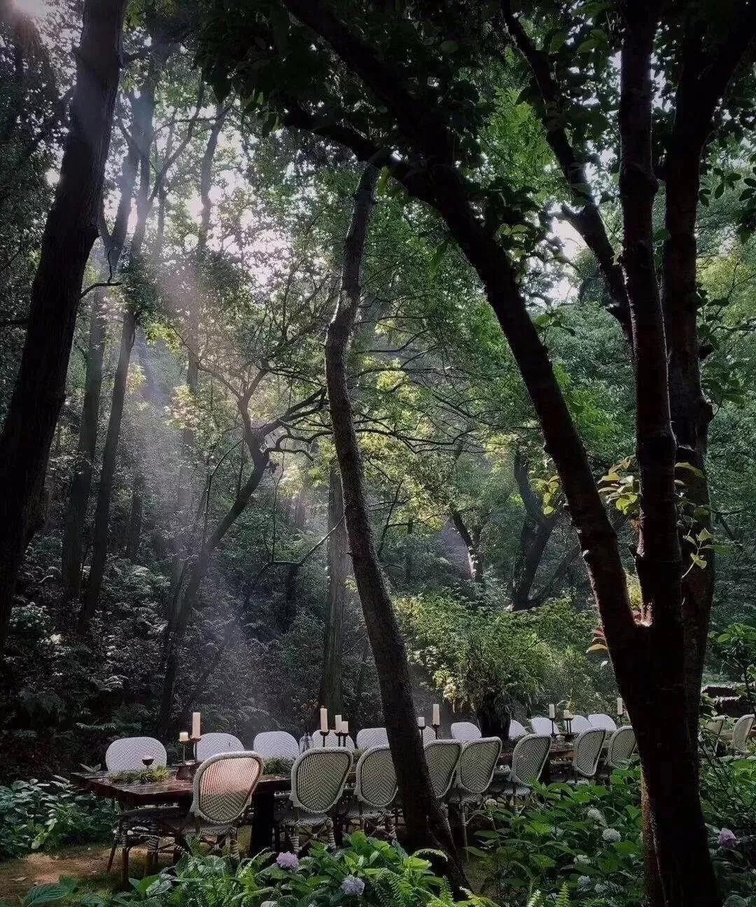 江浙沪8大五星级度假酒店任选,杭州度假高端酒店推荐