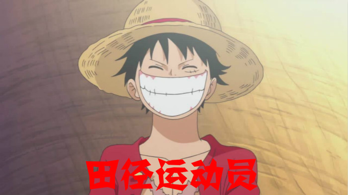 海贼王十一位超新星代表国家,海贼王中11位超新星