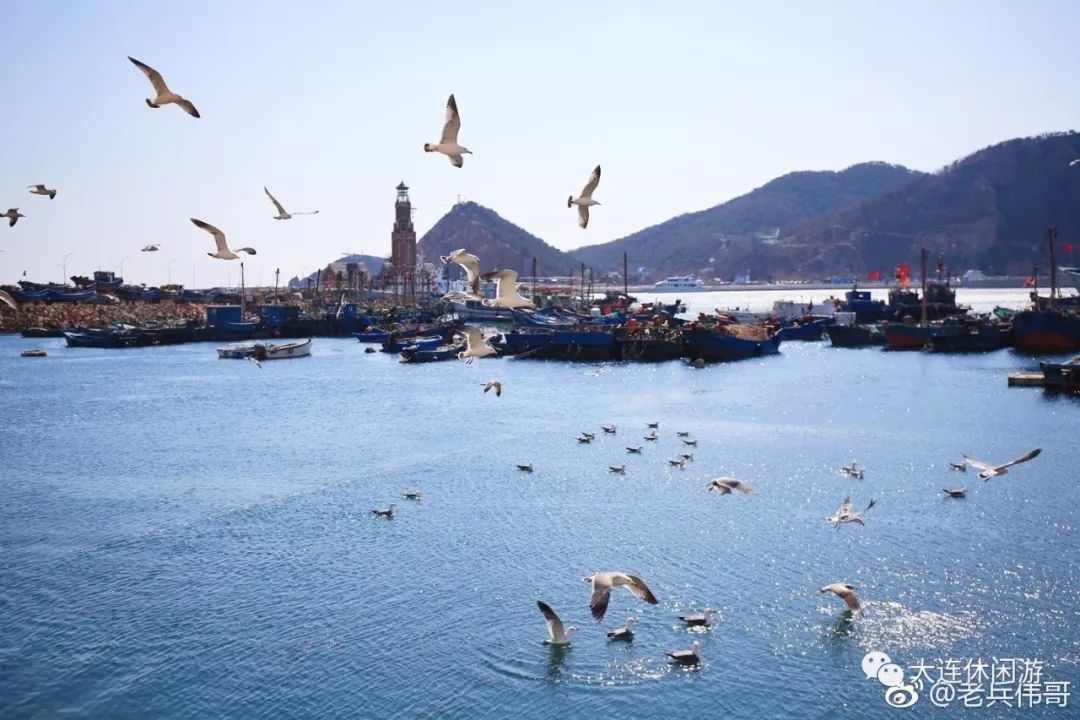 拍照圣地网红打卡大连,大连网红打卡地景点拍照