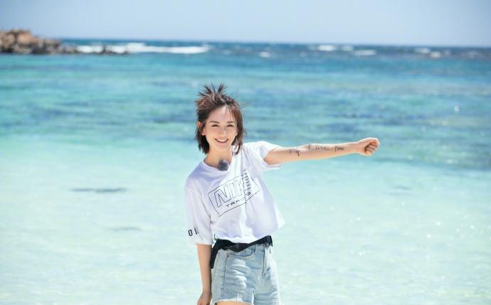 那英力挺张碧晨张杰谢娜,张碧晨张杰谢娜新闻