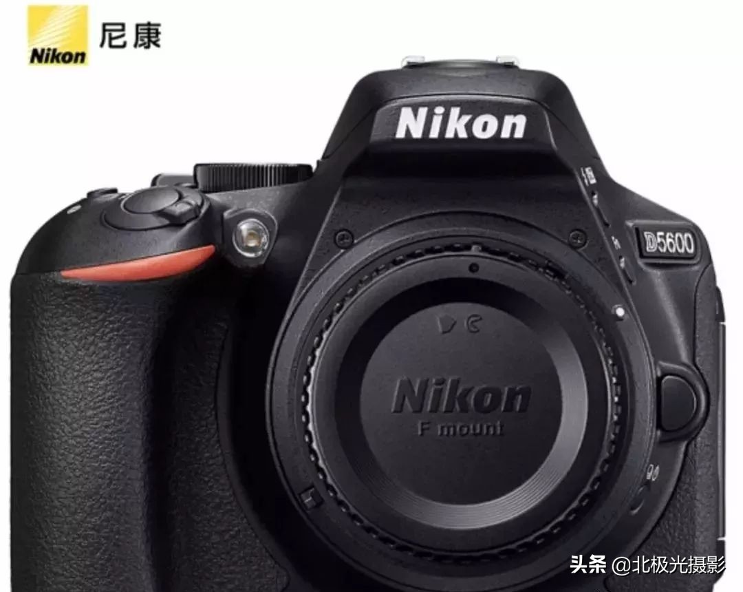 拍摄鸟类照片技巧,拍摄鸟儿照片技巧