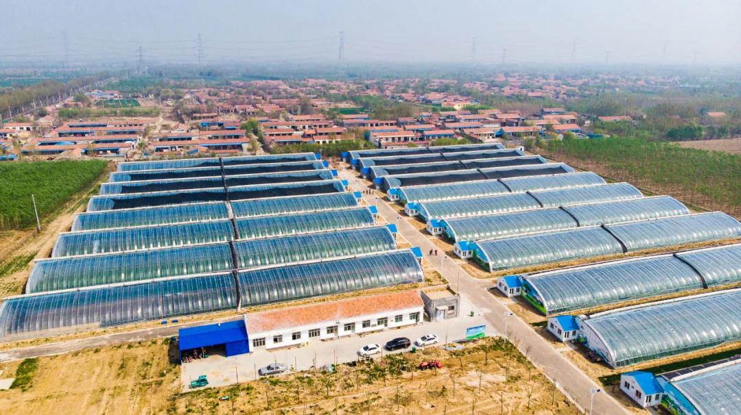 4月的正确开启方式,四月怎么开荷花