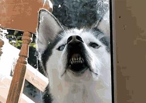 核辐射有多远距离才安全,核辐射有多危险