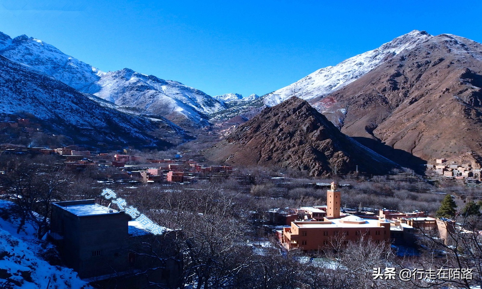 气候变暖引起的冰川变化,冰川大面积变暖